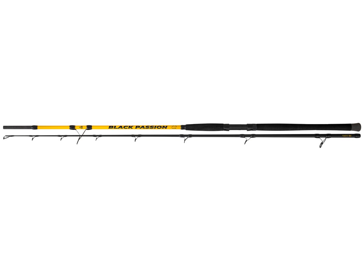 BLACK CAT BLACK PASSION G2 SPIN