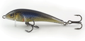 BONITO BOLEN 7