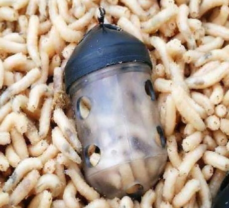 BLACK CAP FEEDER KAMASAN