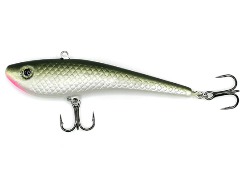 BONITO HUBAL 8